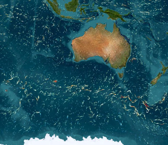 Ocean currents animation